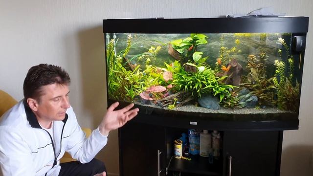 Аквариум JUWEL VISION 260l. Год с момента запуска. Выпуск 16. смотреть онлайн