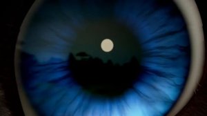 Два хвоста/2018 год