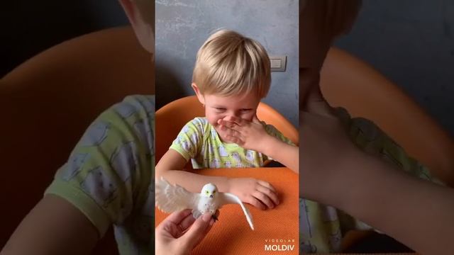 Игра «Поймай правильное слово» смотреть онлайн