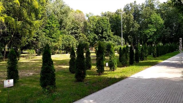 Рязань обзор города. Рязань летом. Парки Рязани часть 1