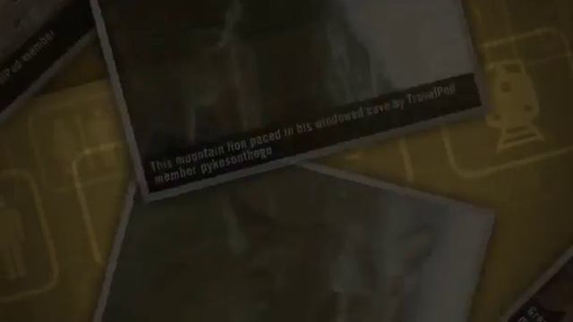 "The Living Desert Nature Preserve" Pykesonthego's photos around Indian Wells, United States смотреть онлайн