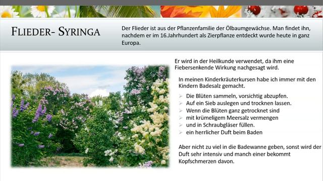 Phänologischer Kalender- 3 Vollfrühling смотреть онлайн