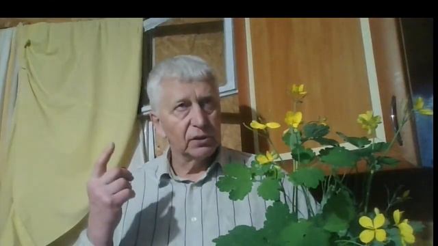Рождение Свыше