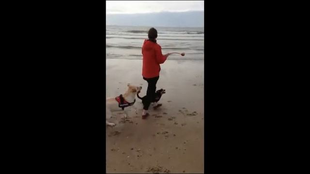 Candy & Boni im Urlaub - 2013 смотреть онлайн