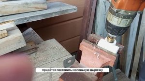 Круговые опоры для кустов крыжовника и смородины