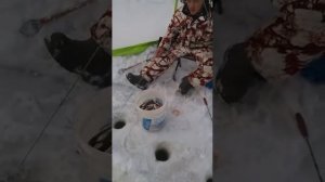 Зимняя рыбалка на Сахалине. река Поронай. 18.02.2017. Часть 2