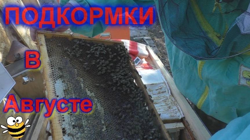 Стимулирующая Подкормка в Августе. Результаты. смотреть онлайн