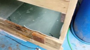 форель в УЗВ в одном помещении с раками