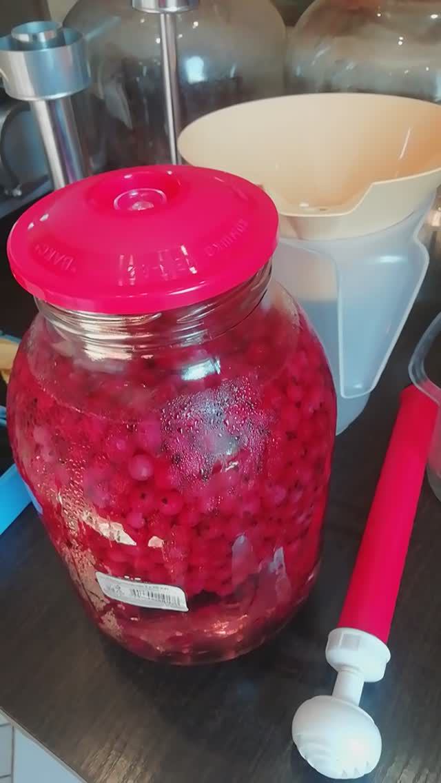 Моя настойка из красной смородины.
