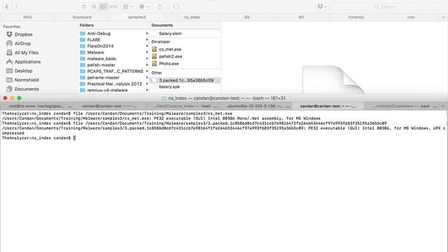 Malware Analysis Part #1: Basic Static Analysis