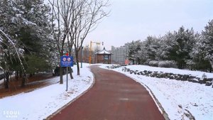 Morning Snowy Park that Jennifer and I Walk Every Day _ Ambience Sounds