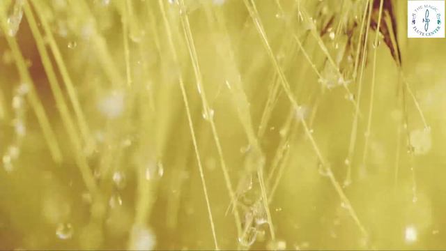 Илья Дворецкий (флейта) - Габриэль Форе - Фантазия (1 часть) смотреть онлайн