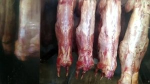 Мясо кролика горячего копчения!