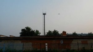 ataman ml15 b 5.5 стрельба на 65 метров