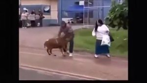 Казел