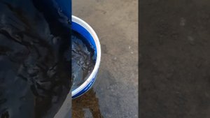 Скоротал вечерок на рыбалке в Тюмени на Туре. #рыбалка #тюмень #лещь #язь #fishing #нива #лес #охот