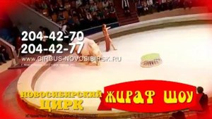 «Жираф шоу – цирк больших зверей»