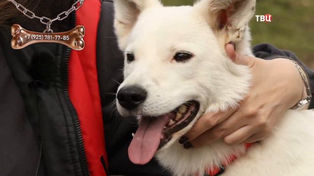 Руна и Миша смотреть онлайн