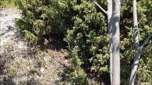 Дом в Абрау-Дюрсо. Начало строительства