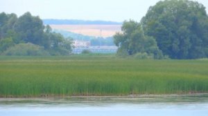 Речка Сумка и Волжский затон. Поселок Васильево.