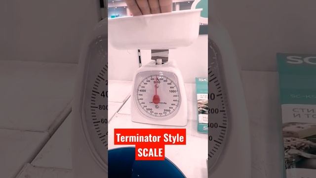 ?️ SCALE⌛ #terminatorstyle #shortfeed