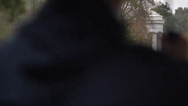 Осенняя прогулка в любимом Павловском парке смотреть онлайн