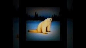 medved 2026 - soundtrack