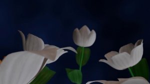 очень красивое видео лилий