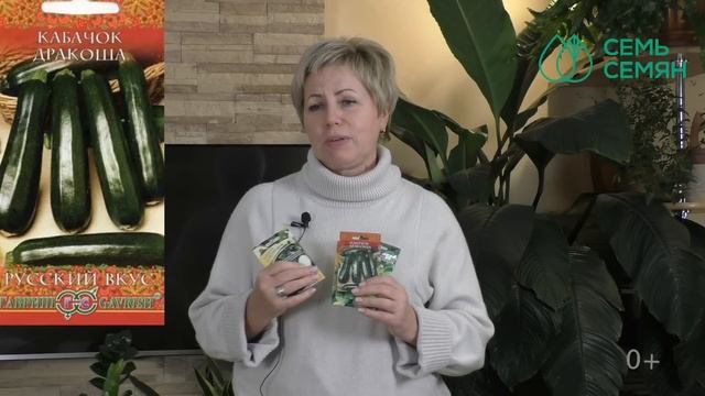 ОБРАТИТЕ ВНИМАНИЕ НА ЭТИ СОРТА И ГИБРИДЫ КАБАЧКОВ!