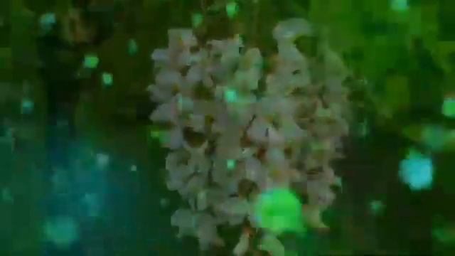 Птицы Счастья смотреть онлайн