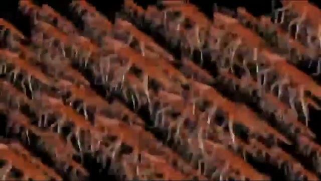 Имена братьев таракана сергея?? смотреть онлайн