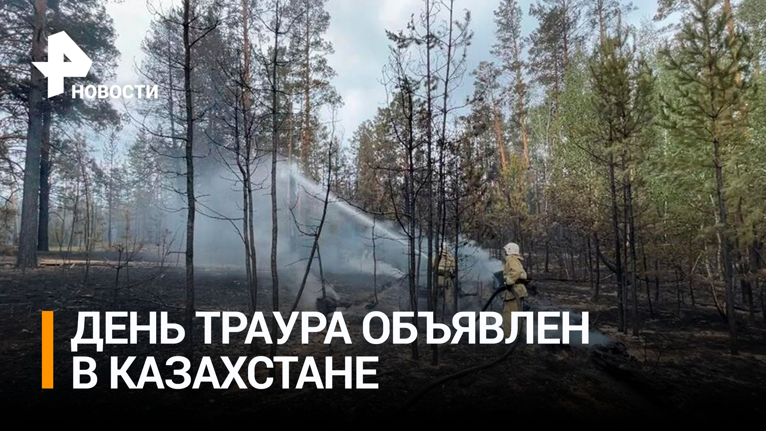 В Казахстане 12 июня объявили днем траура по погибшим в лесном пожаре