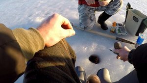 Рыбалка на гирлянду. Красивое видео про зимнюю рыбалку. Залив Сосны. Киев