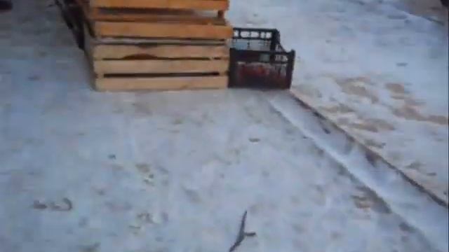 10 01 2013 Zaporizhzhya Ukraine смотреть онлайн