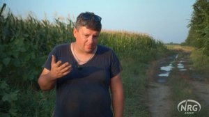 Полив кукурузы дождевальным барабаном Casella в Херсонской области
