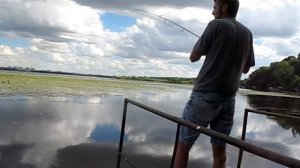 Красноперка на бомбарду (сбирулино) Воронежское водохранилище.