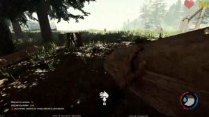 The Forest - Сюжетное прохождение (Одиночная игра).