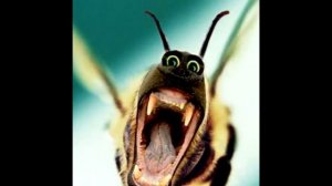 Как Билайн теряет своих клиентов