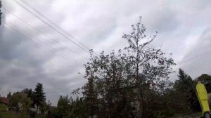 RYOBI OPP1820 PIŁA ŁAŃCUCHOWA TELESKOP Test sprzętu