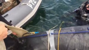 Пограничники задержали в Балтийском море нелегальных добытчиков янтаря