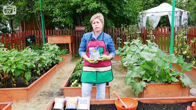 Когда и как сеять сидераты 