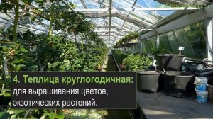 Что нужно в бизнесе по выращиванию саженцев