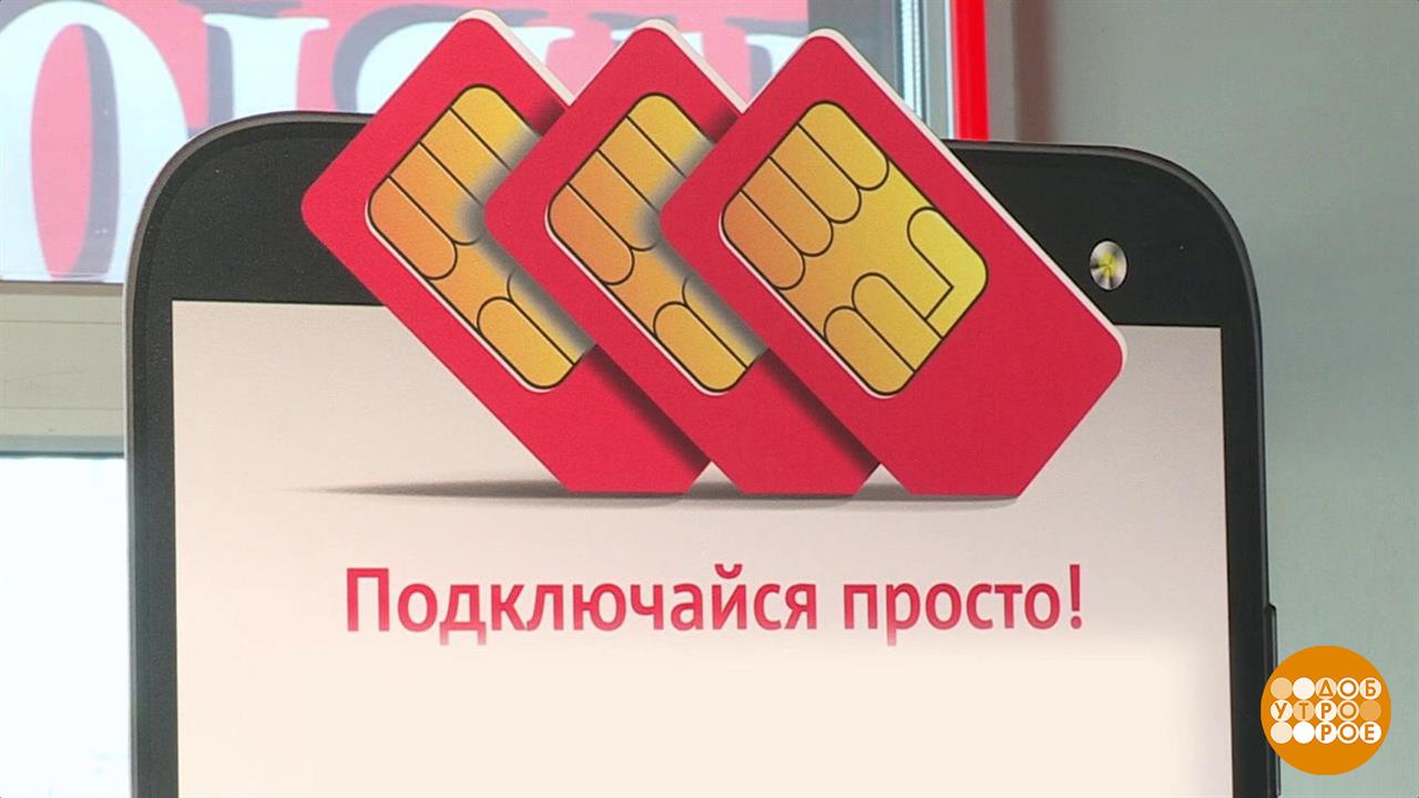 Обнуление сим-карт: кто в зоне риска? Доброе утро. Фрагмент выпуска от 14.08.2023