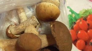 Видео про белые грибы